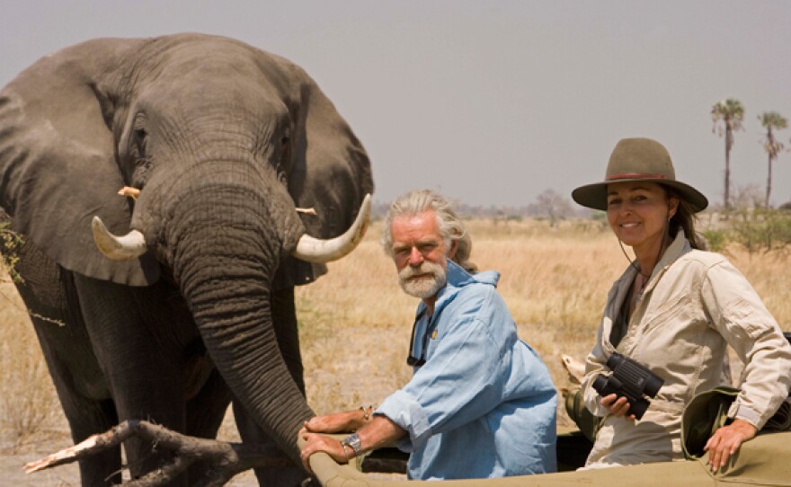 Wildlife filmmakers Dereck and Beverly Joubert inside their production 4x4 vehicle near an adult elephant in Botswana.