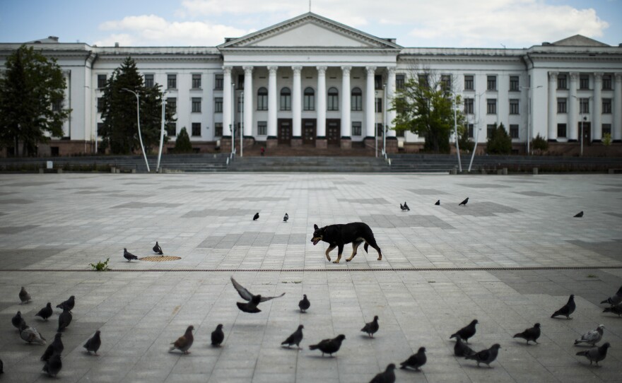A dog walks among pigeons in a mostly deserted central square during a siren alarm in Kramatorsk, eastern Ukraine, on Monday. The heaviest fighting of the war is taking place in the east. Ukraine's President Volodymyr Zelenskyy says 50 to 100 Ukrainian troops are being killed in the region every day.
