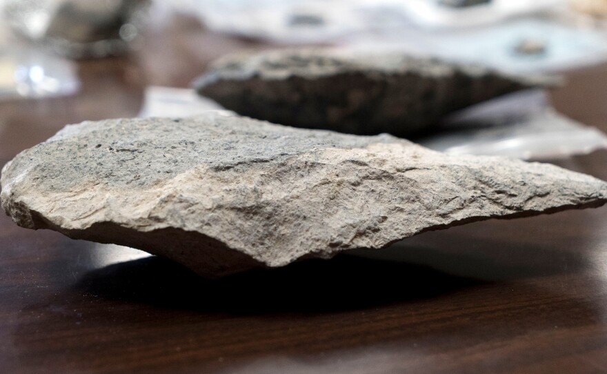 The hand axe was a multipurpose tool used by our ancestors for chopping up branches and carcasses as well as digging for tubers. They remained unchanged for several hundred thousand years.