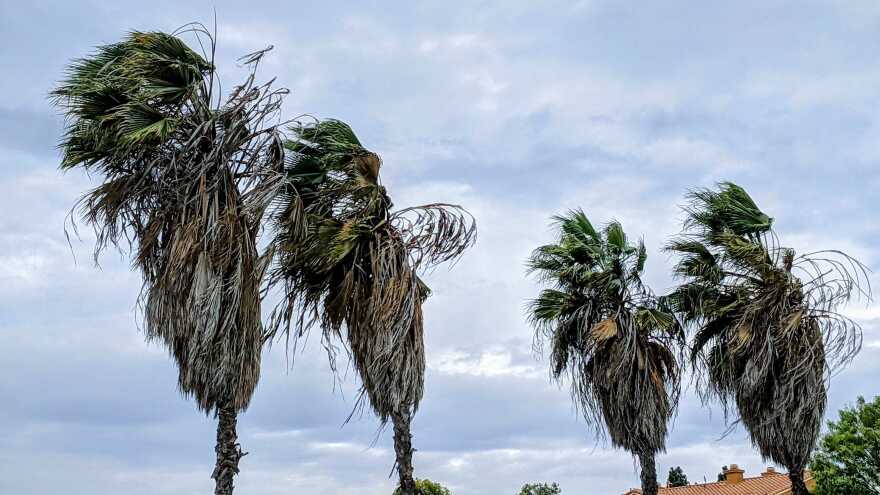 Blustery winds in San Diego as shown on Jan. 20, 2021