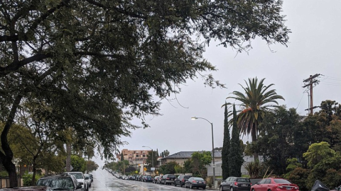 A rainy street in Golden Hill, San Diego is pictured in this photo, March 18, 2020. 