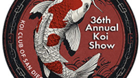 36th Annual San Diego Koi Show