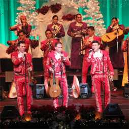 Merry achi Christmas_for website.png