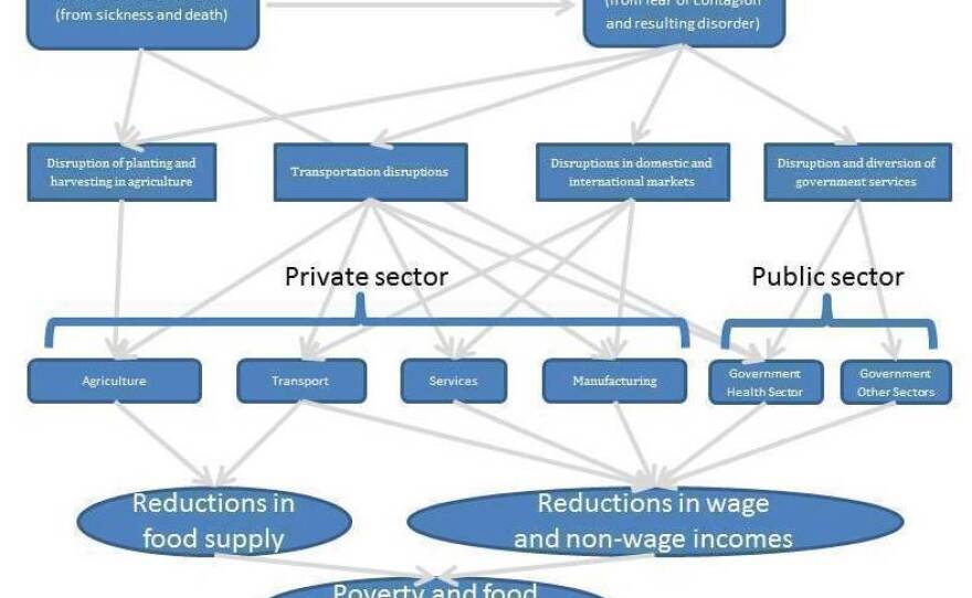 Broad channels of short-term economic impact from the Ebola epidemic, as laid out in the World Bank report. For a larger version, click here.