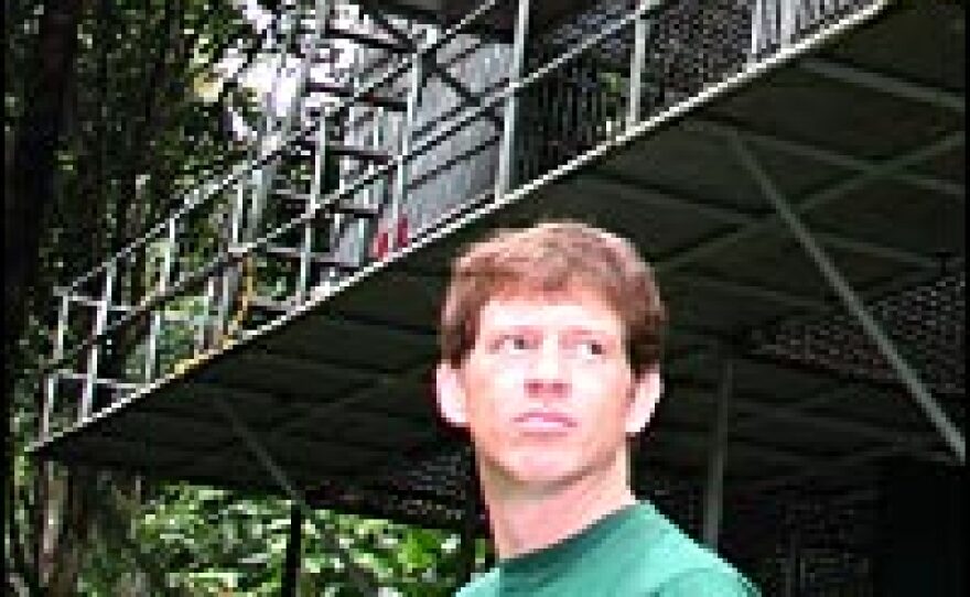 Ian Singleton, scientific director at the Orangutan Conservation Program, stands in front of a quarantine cage. After the animals are given physicals and vaccinated, they will be returned to the wild.