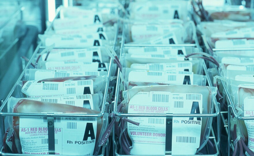 Bad Blood A Cautionary Tale KPBS Public Media