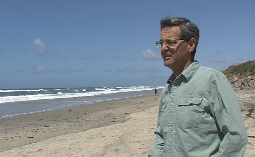 UC San Diego biologist Joshua Kohn looks over a stretch of San Diego's coastline, March 29, 2016.
