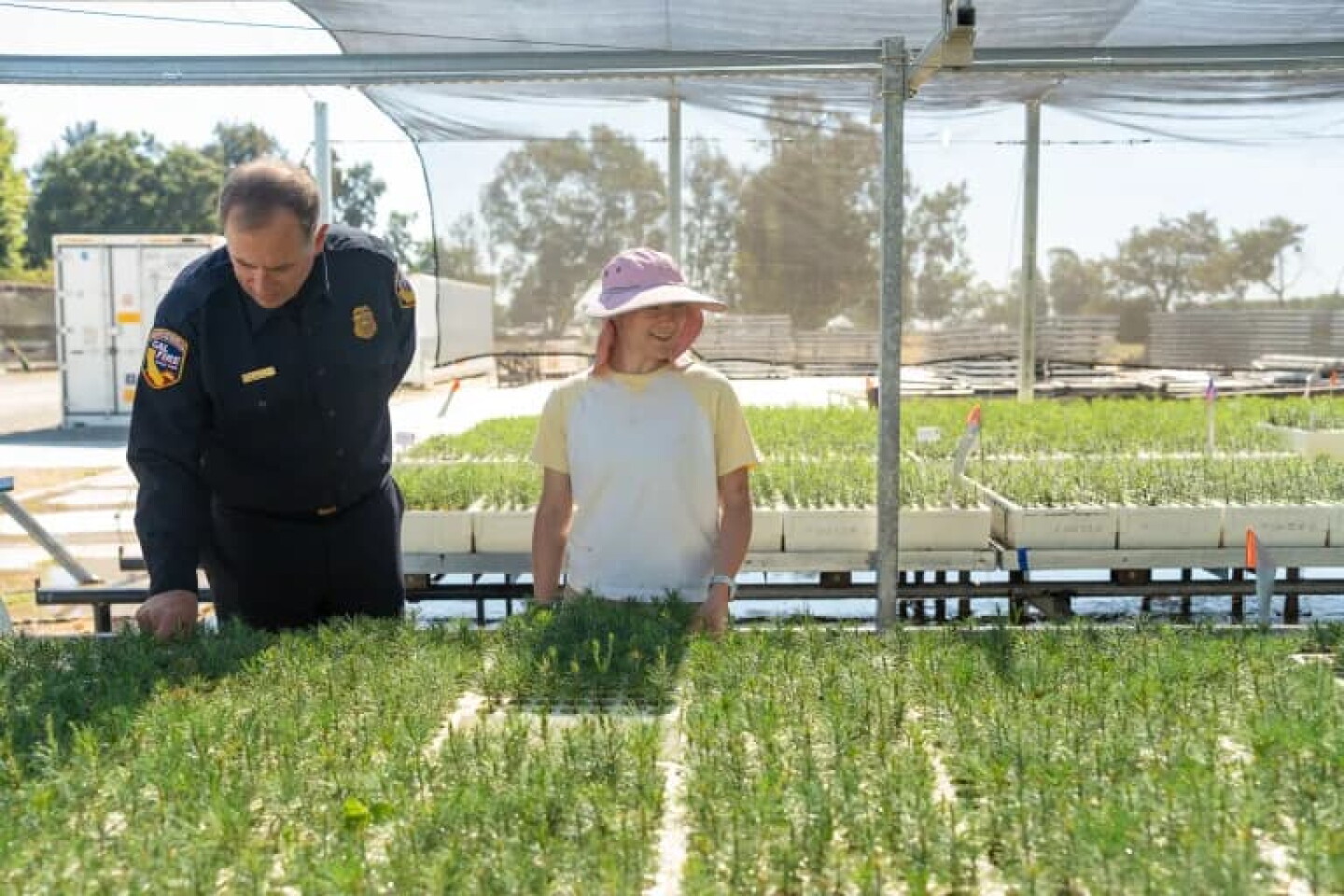 Cal Fire staff chief of wildfire resilience Stewart McMorrow, left, and Assistant Nursery Manager Maya Hotz, right, check on seedlings in a nursery at the Lewis A. Moran Reforestation Center in Davis on July 15, 2026.