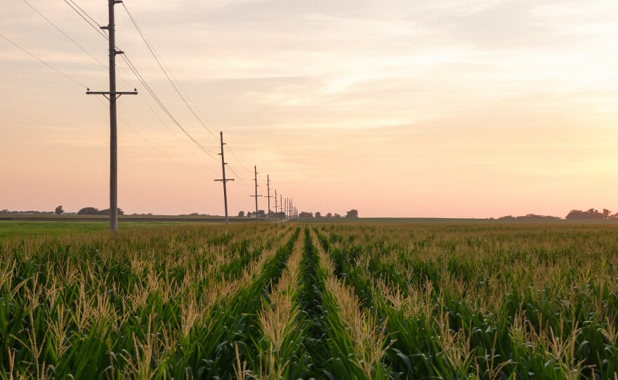 Cruz Urias Beltran collapsed because of heat-related illness while working in a cornfield near Grand Island, Neb., in 2018. He is one of at least<strong> </strong>384 workers who died from environmental heat exposure in the U.S. in the last decade, according to an investigation by Columbia Journalism Investigations and NPR.