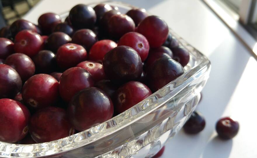 A bowl of Sweeties, an experimental cranberry variety that likely won't come to market for several years, if ever at all.