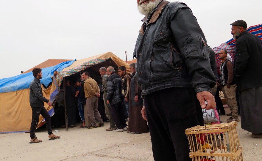 Ahmed, a civilian evacuated from fighting in Mosul, carries his pet bird. He says ISIS banned keeping birds and he hid it in the house for three years and made the cage from palm fronds when he knew they were leaving.
