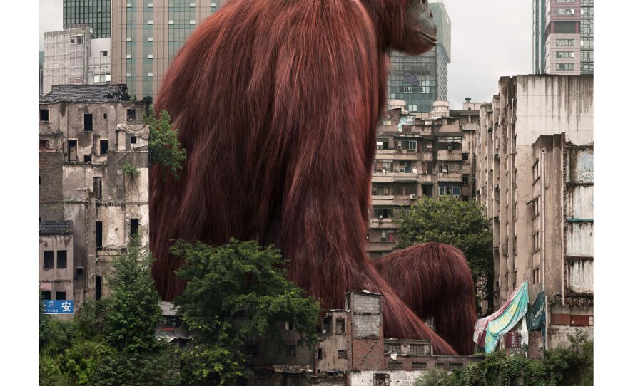 Liu Di; Animal Regulation – No. 18. Liu is famous for placing huge animals with small heads in urban landscapes.