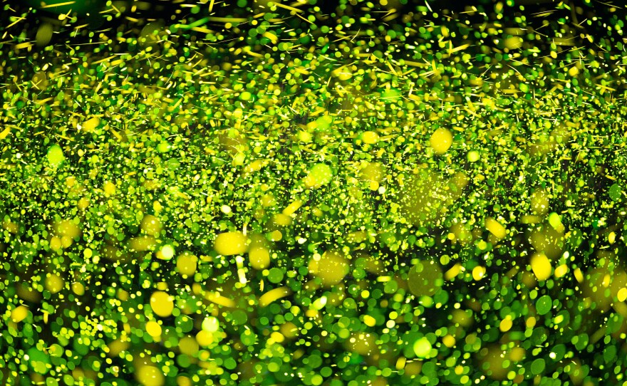 A swarm of fireflies seen in New York in June 2021. "The pandemic, which is when all of these pictures are from, allowed me — or encouraged me — to make fewer pictures per night, with the result being much longer exposures and a completely different relationship with the process," Mauney said.