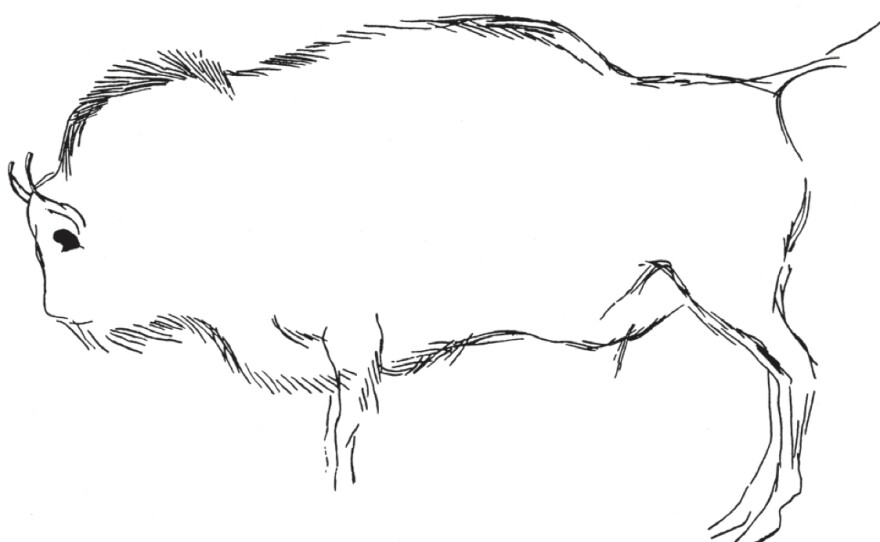 A reproduction of a painting at the the Pergouset cave in ArdeÌche, France, probably representing an ancestor of modern European bison that was created by the hybridization of cows and steppe bison.