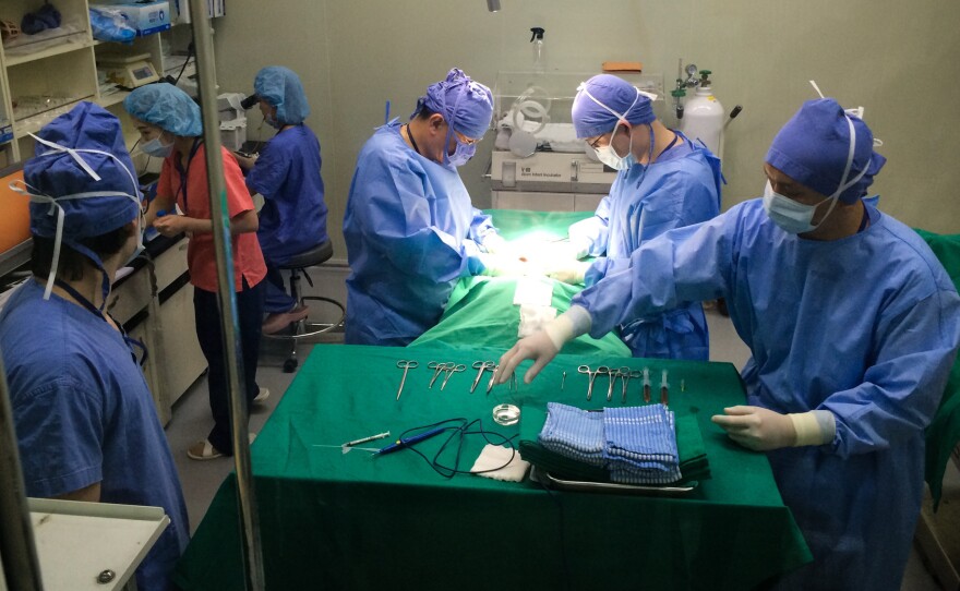 A surgical team at Sooam Biotech in Seoul, South Korea, injects cloned embryos into the uterus of an anesthetized dog.