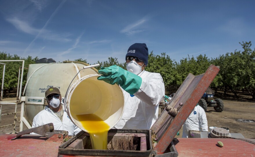 A worker pours a bucket of pesticide into a machine to be sprayed on almond trees at Del Bosque Farms Inc. in Firebaugh, Calif., on April 6, 2015. California and Washington already have adopted, through state regulation, many of the rules that the EPA now wants to put in place nationwide.