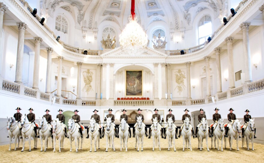 Riders at the Spanish Riding School, Vienna, Austria. Hear the story of the world-famous Lipizzaner stallions, from their origins in ancient times to the almost unknown drama of their rescue in 1945.