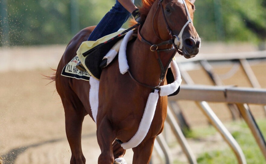 Exercise rider Jonny Garcia takes I'll Have Another over the track at Pimlico Race Course in Baltimore, Md., Thursday. The colt has a chance to win the second leg of the Triple Crown in the 137th Preakness Stakes Saturday.