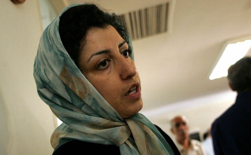 Iranian opposition human rights activist Narges Mohammadi is shown at the Defenders of Human Rights Center in Tehranmon June 25, 2007.