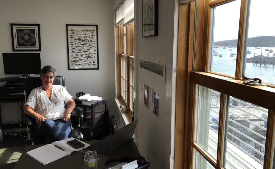 Carla Guenther, chief scientist at the Maine Center for Coastal Fisheries, in her office overlooking the harbor in Stonington. She's part of a research team studying the resilience of Maine's lobster industry and the communities that depend on it.