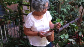 The lack of running water has forced Sonia Palacios to stretch every drop of water she gets. Often that means not watering her plants. It breaks her heart.