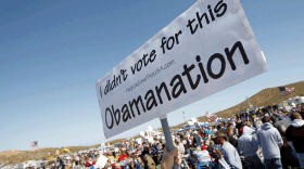 Tea Party supporters gather at the "Showdown in Searchlight" rally in Searchlight, Nev., on March 27. The management book <em> The Starfish and the Spider</em> is a hit with Tea Partiers, and its co-author Rod Beckstrom says he isn't surprised. He says the book is a guide for people to organize decentralized movements like the Tea Party.