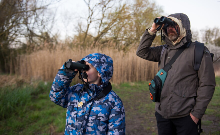 Oliver Hughes and his father, Michael Hughes, who traveled from North Wales to celebrate Oliver's birthday, keep their binoculars trained on the marshland, hoping to spot the resident beavers living at the Ealing Beaver Project.