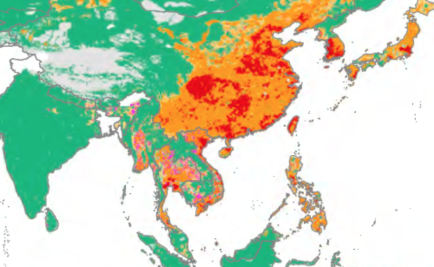 The love of meat is exploding in Asia, and with it, comes antibiotic consumption by chickens, top, and pigs, bottom. Green represents low levels of drug used; yellow and orange are medium levels; and, red and magenta are high levels.