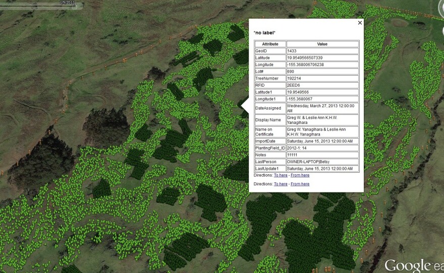 Hawaiian Legacy Hardwoods has created an Internet interface so customers can zoom in and view information about specific Koa trees from their computers.