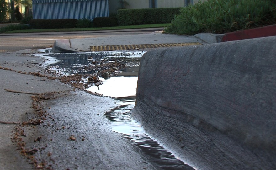 Water flows down a gutter on West Point Loma Boulevard in San Diego and pools at a low corner, April 10, 2015.
