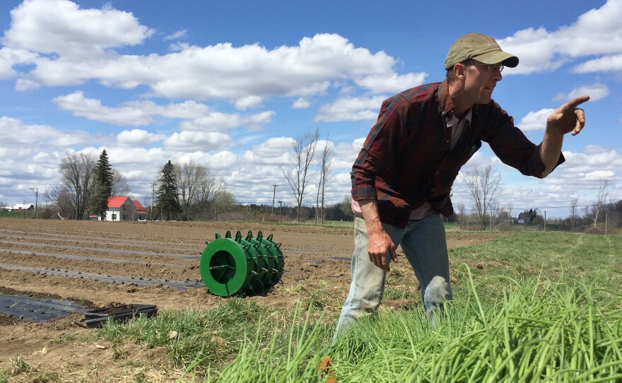 Dan Kent owns Kent Family Growers in upstate New York. This is the first year he's hired workers through the H-2A visa program. They're expected to arrive in late May — about six weeks behind schedule.