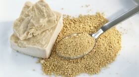 Fresh and dried yeast. It might not look like much, but it has shaped the way we eat and live, according to a new book.
