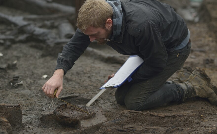 Wood specialist Mike Bamforth examines the base of a Bronze Age wooden bucket at the excavation site.