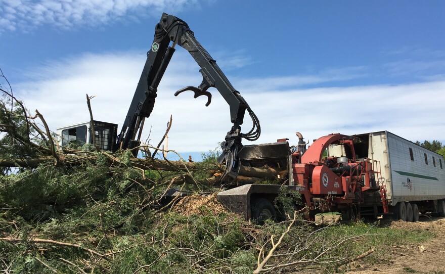 Logger Greg Hemmerich and his crew feed low-value trees into a wood chipper, before bringing the chips to ReEnergy Holdings' biomass plant in Lyonsdale, N.Y.