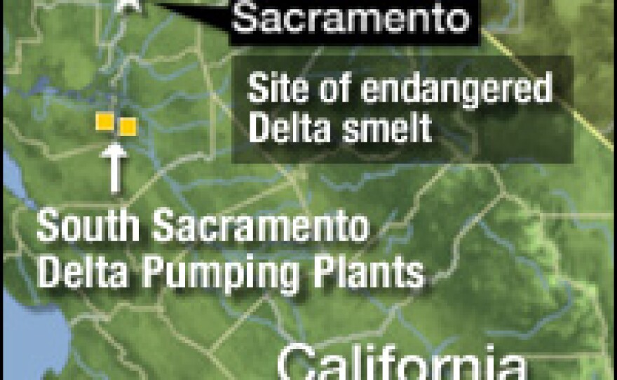 Farmers in Valley Center, Calif., will see a 25 percent to 30 percent cut in the amount of water they receive from Northern California because of a court order to save the Sacramento Delta smelt.