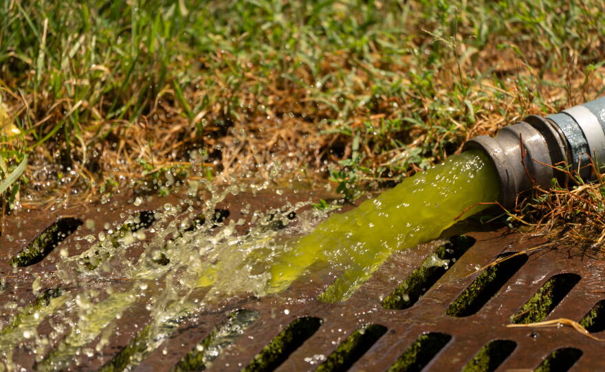 Water from a vacuum line being used by National Park Service employees to clean the Lincoln Memorial Reflecting Pool pours into a nearby drain, Saturday, June 20, 2026, in Washington.