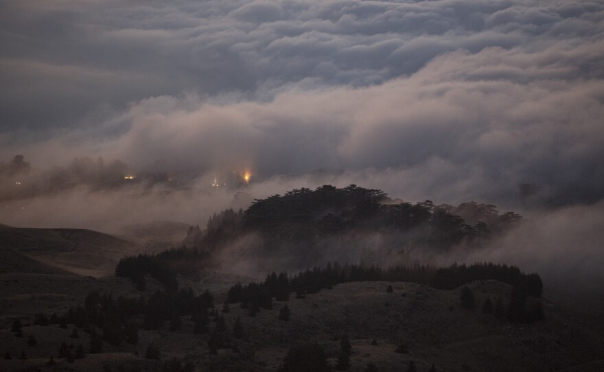 Clouds envelope the Cedars of God Reserve in Bisharre.