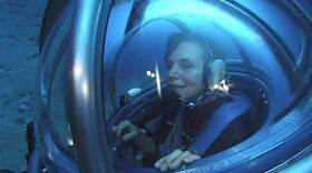 Oceanographer Sylvia Earle, photographed in an underwater vehicle, in the "Journey To Planet Earth" series.