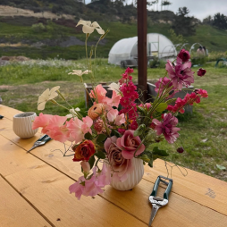 Flower Arranging 101 Workshop + Farm Tour