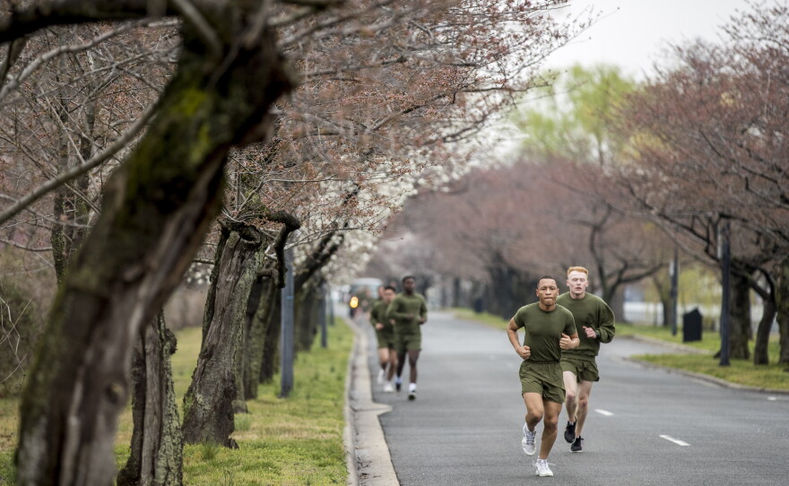 Hains Point is part of the course of several major road races, including the Credit Union Cherry Blossom ten-mile run each April and the Marine Corps Marathon every October.