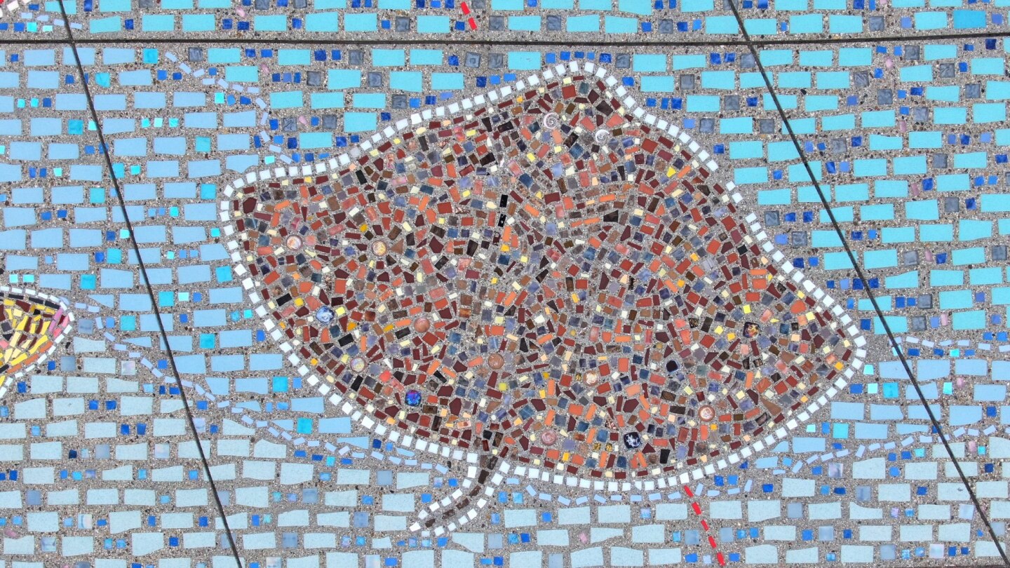 An undated photo of the California butterfly ray as depicted in The Map of the Grand Canyons of La Jolla mosaic at Kellogg Park in La Jolla Shores.