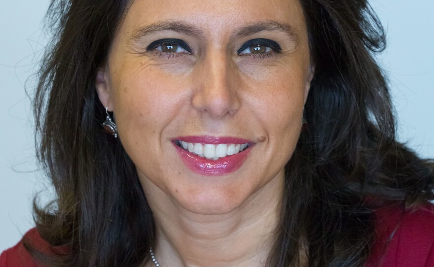 Sara Pantuliano is the managing director of the Overseas Development Institute.