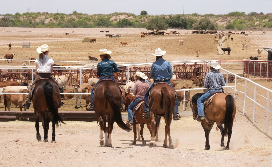 Pati Jinich herding cows.jpg