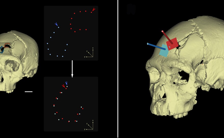 The team of scientists used 3-D imaging to recreate the injuries.