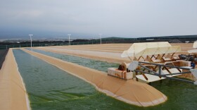 Cellana uses marine microalgae to photosynthetically produce its line of Omega-3 EPA and DHA oils, animal feed, and biofuel feedstocks. 