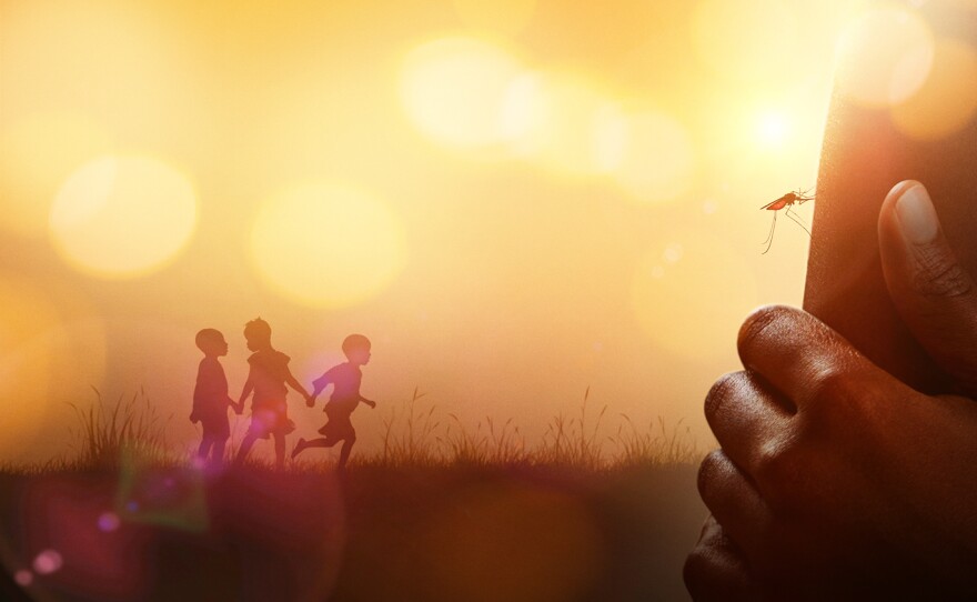 NOVA "The Battle to Beat Malaria"