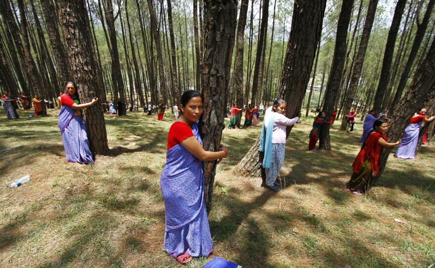 Nepalese people hug trees during a mass tree hugging on World Environment Day in Katmandu, Nepal, Sunday, June 5, 2011.
