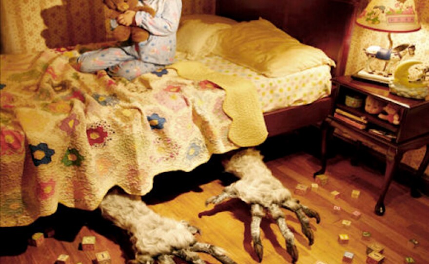 Rants and Raves Joshua Hoffine KPBS Public Media