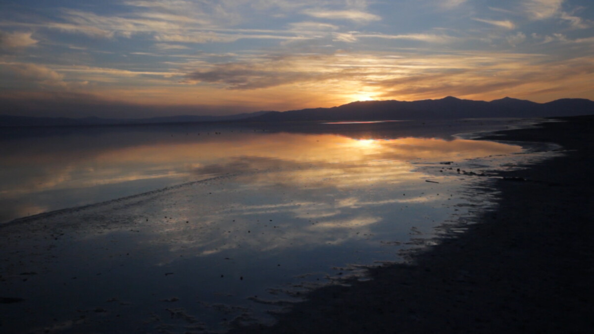 Report: Salton Sea influences earthquake activity - Vimarsana News