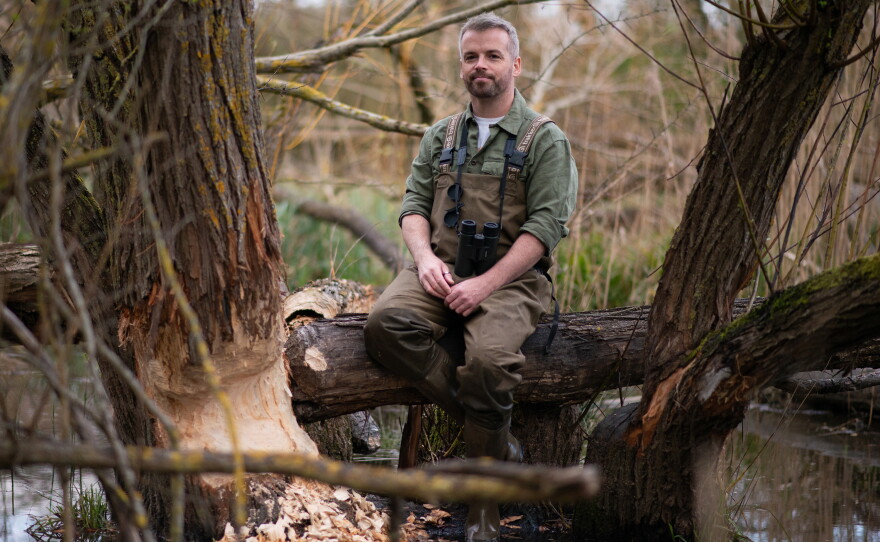 Sean McCormack, a local veterinarian, started the Ealing Beaver Project with Elliot Newton, a rewilding expert with the conservation group Citizen Zoo.